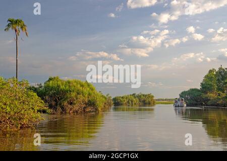 Barca turistica a Yellow Water, Parco Nazionale di Kakadu Foto Stock