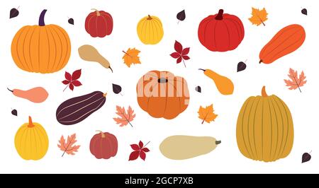 Set di icone di zucca. Illustrazione vettoriale in design piatto Illustrazione Vettoriale