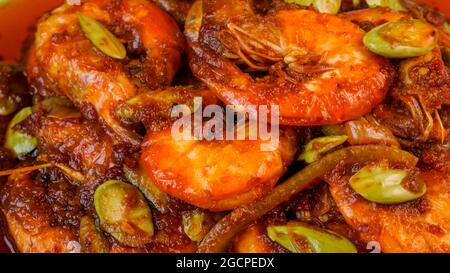 Delizioso piatto piccante di gamberi con fagioli stinky conosciuto in Malesia come Sambal Udang Petai. Foto Stock