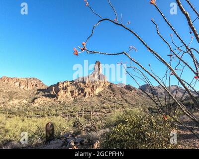 Escursioni attraverso le Superstition Mountains sull'Arizona Trail, Arizona, U.S.A Foto Stock