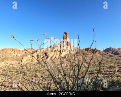 Escursioni attraverso le Superstition Mountains sull'Arizona Trail, Arizona, U.S.A Foto Stock