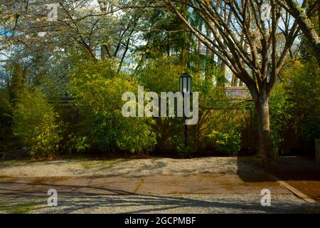 Un'immagine esterna di un giardino giapponese del Pacifico nord-occidentale Foto Stock