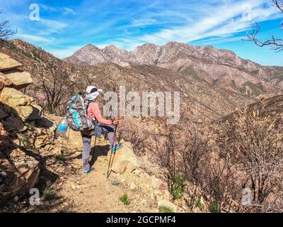 Escursioni attraverso il deserto di sonora sull'Arizona Trail, Arizona, U. S. A. Foto Stock