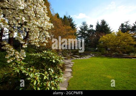 Un'immagine esterna di un giardino giapponese del Pacifico nord-occidentale Foto Stock