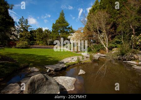 Un'immagine esterna di un giardino giapponese del Pacifico nord-occidentale Foto Stock