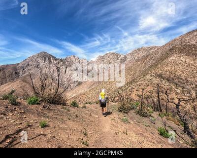 Escursioni attraverso il deserto di sonora sull'Arizona Trail, Arizona, U. S. A. Foto Stock