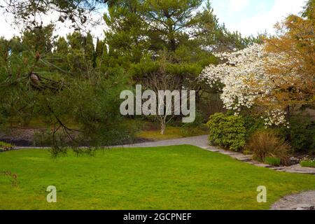 Un'immagine esterna di un giardino giapponese del Pacifico nord-occidentale Foto Stock