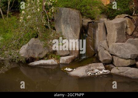 Un'immagine esterna di un giardino giapponese del Pacifico nord-occidentale Foto Stock