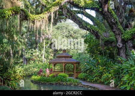 Splendido Washington Oaks Gardens state Park a Palm Coast, Florida. (STATI UNITI) Foto Stock