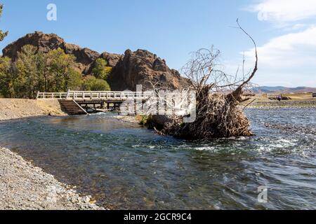 Un ponte di legno su un piccolo torrente di montagna nella Mongolia centrale. Acqua cristallina sotto il cielo blu. Le radici di un albero caduto che si stese nel fiume fl Foto Stock