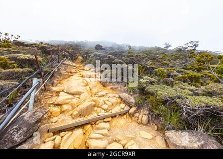 Arrampicata Monte Kinabalu, Sabah, Borneo, Malesia. La montagna più alta del sud-est asiatico, vicino alla città di Kota Kinabalu. Dalla giungla ai piedi di Foto Stock