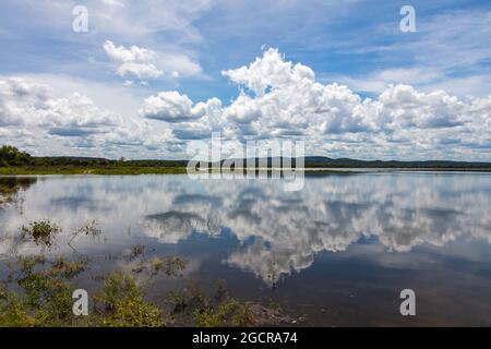 Effetto specchio d'acqua sul lago di Minneriya Wewa al Parco Nazionale di Minneriya , Sri Lanka. Paesaggio nuvoloso panorama fotografia di paesaggio con riflessione o Foto Stock