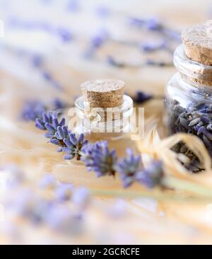Olio essenziale di lavanda e fiori secchi di lavanda. Foto Stock