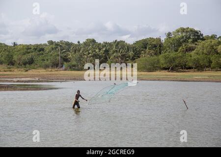 Uomo dello Sri Lanka che getta la rete di pesca Foto Stock