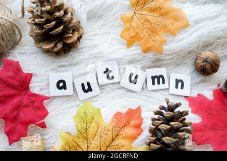 La parola autunno scritta con lettere di legno e foglie secche su sfondo bianco Foto Stock