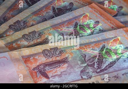 Macrofotografia di 20 ringgit malese con luce fluente. Estremo primo piano di RM20 Malesia. Cattura netta della tartaruga Hawksbill sulla banconota. Foto Stock