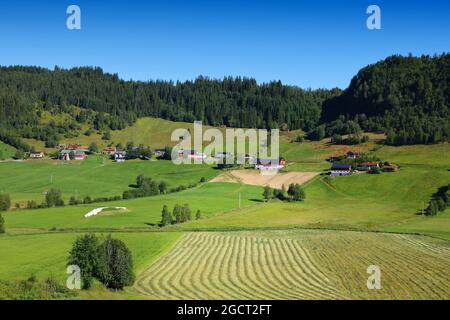 Terreni agricoli e pascoli in Norvegia. Zona agricola nella regione del comune di Sunnfjord (contea di Vestland). Foto Stock