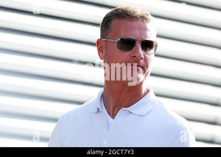 David Coulthard (GBR) Red Bull Racing e Scuderia Toro Advisor / BBC Television commentatore. Gran Premio d'Italia, sabato 7 settembre 2013. Monza Italia. Foto Stock