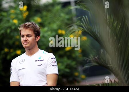 Nico Rosberg (GER) Mercedes AMG F1. Gran Premio d'India, giovedì 24 ottobre 2013. Grande Noida, Nuova Delhi, India. Foto Stock