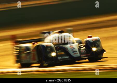 Alexander Wurz (AUT) / Nicolas Lapierre (fra) Toyota Racing, Toyota TS030, ibrido. Campionato Mondiale FIA Endurance, turno 7, sabato 9 novembre 2013. Shanghai, Cina. Foto Stock