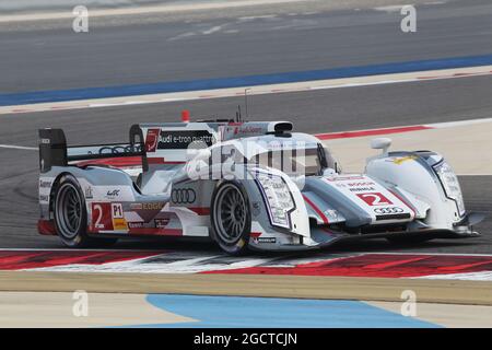 Tom Kristensen (DEN) / Loic Duval (fra) / Allan McNish (GBR) Audi Sport Team Joest, Audi R18 e-tron quattro. Campionato Mondiale FIA Endurance, turno 8, giovedì 28 novembre 2013. Sakhir, Bahrein. Foto Stock