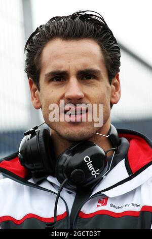 Adrian Sutil (GER) Sauber. Test di Formula uno, giorno due, mercoledì 29 gennaio 2014. Jerez, Spagna. Foto Stock