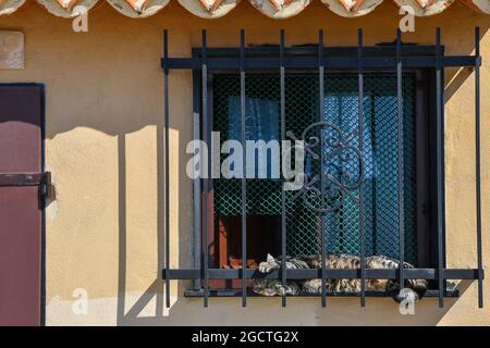 Un simpatico gatto tabby che dorme al sole sdraiato sul davanzale di una vecchia casa nel villaggio di pescatori di Boccadasse, Genova, Liguria, Italia Foto Stock