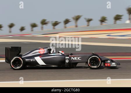 Adrian Sutil (GER) Sauber C33. Gran Premio del Bahrain, venerdì 4 aprile 2014. Sakhir, Bahrein. Foto Stock
