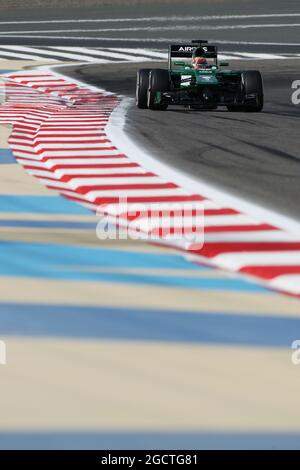 Robin Frijns (NLD) Caterham CT05 Test e pilota di riserva. Gran Premio del Bahrain, venerdì 4 aprile 2014. Sakhir, Bahrein. Foto Stock