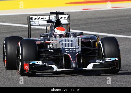 Adrian Sutil (GER) Sauber C33. Gran Premio del Bahrain, sabato 5 aprile 2014. Sakhir, Bahrein. Foto Stock