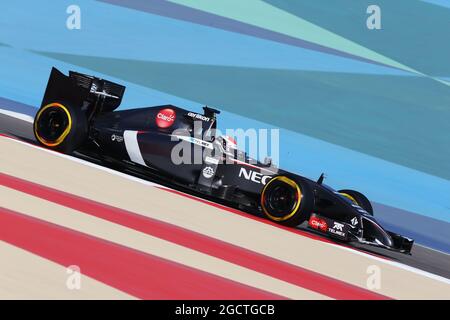 Adrian Sutil (GER) Sauber C33. Gran Premio del Bahrain, sabato 5 aprile 2014. Sakhir, Bahrein. Foto Stock