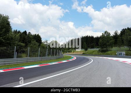 Dettaglio del circuito. Gran Premio d'Austria, giovedì 19 giugno 2014. Spielberg, Austria. Foto Stock