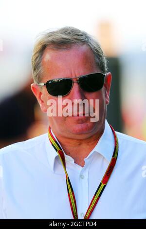 Martin Brundle (GBR) commentatore di Sky Sports. Gran Premio di Germania, sabato 19 luglio 2014. Hockenheim, Germania. Foto Stock