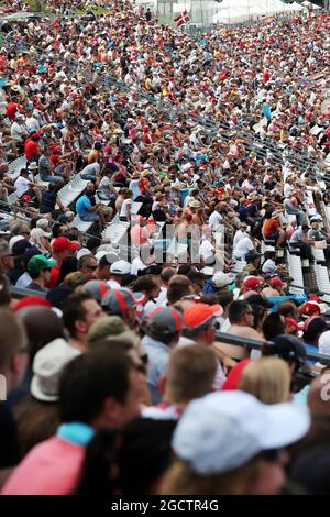 Ventilatori. Gran Premio di Ungheria, sabato 26 luglio 2014. Budapest, Ungheria. Foto Stock