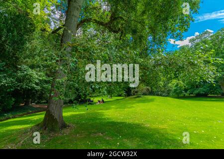 Landesarboretum Exotischer Garten o Giardino esotico dell'Università di Hohenheim, Stoccarda-Hohenheim, Baden-Württemberg, Germania del Sud, Europa Foto Stock