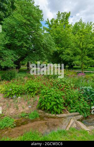 Landesarboretum Exotischer Garten o Giardino esotico dell'Università di Hohenheim, Stoccarda-Hohenheim, Baden-Württemberg, Germania del Sud, Europa Foto Stock