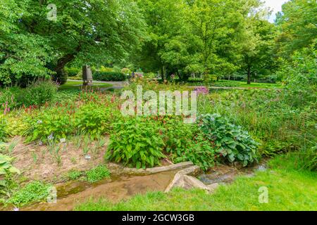 Landesarboretum Exotischer Garten o Giardino esotico dell'Università di Hohenheim, Stoccarda-Hohenheim, Baden-Württemberg, Germania del Sud, Europa Foto Stock