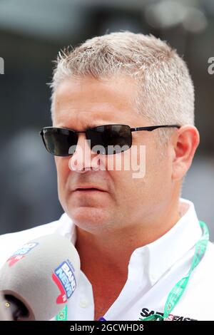 Gil de Ferran (BRA). Gran Premio del Brasile, domenica 15 novembre 2015. San Paolo, Brasile. Foto Stock