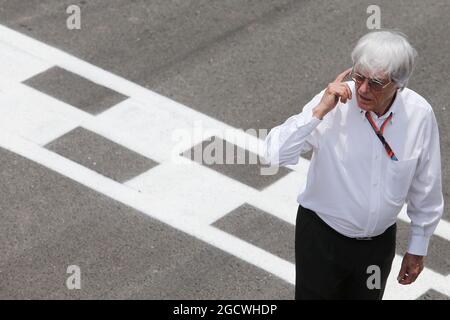 Bernie Ecclestone (GBR) in griglia. Gran Premio del Brasile, domenica 15 novembre 2015. San Paolo, Brasile. Foto Stock