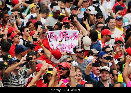 Tifosi sul podio. Gran Premio del Brasile, domenica 15 novembre 2015. San Paolo, Brasile. Foto Stock