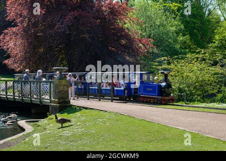 Ferrovia in miniatura presso il parco pubblico Pavilion Gardens, Buxton, Derbyshire, Inghilterra in una giornata di sole all'inizio dell'estate. Foto Stock