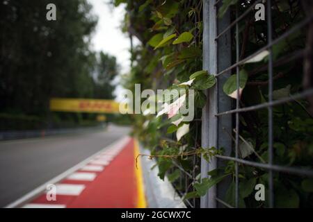 Dettaglio del circuito. Gran Premio del Canada, giovedì 9 giugno 2016. Montreal, Canada. Foto Stock