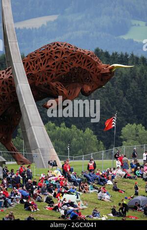 Ventilatori. Gran Premio d'Austria, domenica 3 luglio 2016. Spielberg, Austria. Foto Stock