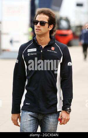 Felipe Nasr (BRA) Sauber F1 Team. Gran Premio di Gran Bretagna, giovedì 7 luglio 2016. Silverstone, Inghilterra. Foto Stock