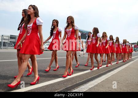 Ragazza griglia. Gran Premio di Ungheria, domenica 24 luglio 2016. Budapest, Ungheria. Foto Stock