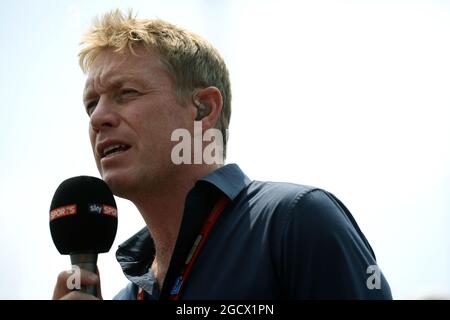 Simon Lazenby (GBR) Presentazione TV Sky Sports F1. Gran Premio di Ungheria, domenica 24 luglio 2016. Budapest, Ungheria. Foto Stock