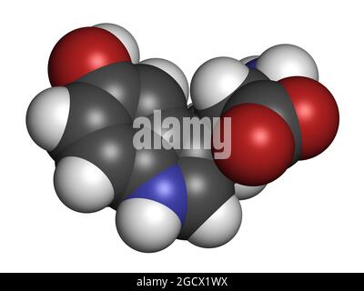 Molecola di amminoacido 5-idrossitriptofano. Rendering 3D. Foto Stock