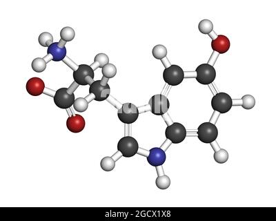 Molecola di amminoacido 5-idrossitriptofano. Rendering 3D. Foto Stock