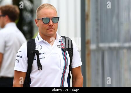 Valtteri Bottas (fin) Williams. Gran Premio della Malesia, giovedì 29 settembre 2016. Sepang, Kuala Lumpur, Malesia. Foto Stock