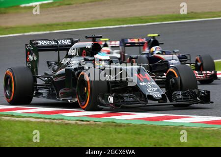 Fernando Alonso (ESP) McLaren MP4-31. Gran Premio del Giappone, domenica 9 ottobre 2016. Suzuka, Giappone. Foto Stock